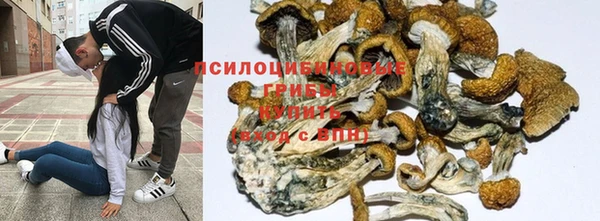 гидропоника Богданович