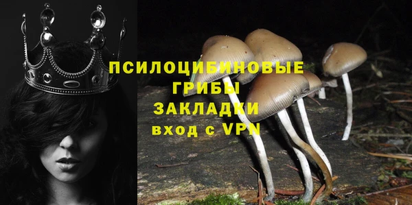 гидропоника Богданович