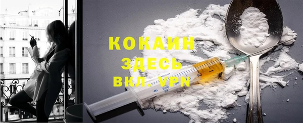 стаф Богородицк